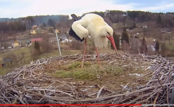 Slika pregleda web-kamere Storks Bzenec